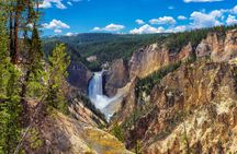 Yellowstone Lower Loop full-day tour