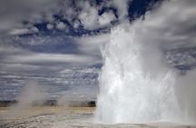 Yellowstone Lower Loop full-day tour