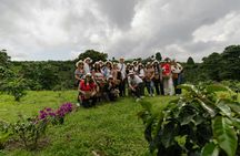 Half-day private coffee experience in Santa Rosa de Cabal