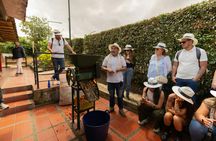 Half-day private coffee experience in Santa Rosa de Cabal