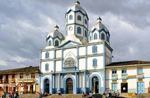 Full-day private tour to Salento, Filandia and Cocora Valley