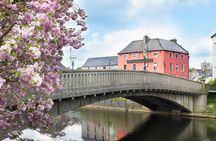 Kilkenny walking tour with a local
