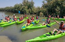 Short kayak tour in Venetian Lagoon