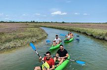 Short kayak tour in Venetian Lagoon