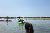 Short kayak tour in Venetian Lagoon
