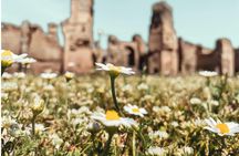 Baths of Caracalla and Circus Maximus Stadium guided tour