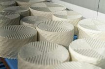 Fuerteventura goat cheese-making workshop with tasting