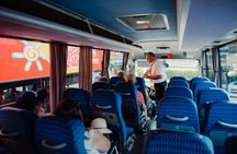 Day tour to Pompeii from Naples