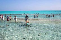 San Andrés islets tour with Johnny Cay, aquarium and mangroves