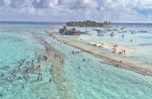 San Andrés islets tour with Johnny Cay, aquarium and mangroves