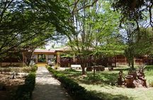 Tsavo East Safari with Overnight Stay at Ashnil Aruba Lodge