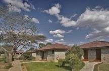 Tsavo East Safari with Overnight Stay at Ashnil Aruba Lodge