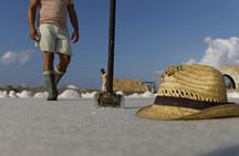 Guided salt harvesting experience in a traditional salt pan