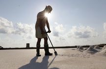 Guided salt harvesting experience in a traditional salt pan