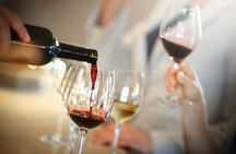 Small-Group Wine Tasting Tour in Venice
