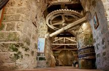 Trapani salt pans, museum and windmill guided tour