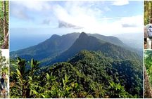 Mount Matchinchang Geoforest Park summit hiking experience