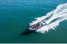 Albufeira dolphins and Benagil caves RIB boat tour