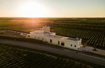 Guided tour and tasting of three wines at Masseria Torleanzi