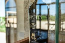 Guided tour and tasting of three wines at Masseria Torleanzi