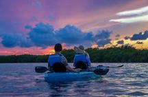 Cancun Nichupté Lagoon morning kayak experience