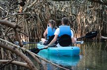 Cancun Nichupté Lagoon morning kayak experience