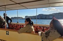 Naples bay cruise with Posillipo and Vesuvius views