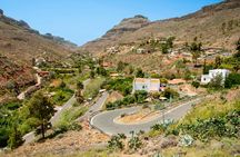 Maspalomas and Ayagaures Valley guided e-bike tour