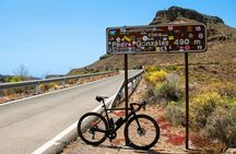 Maspalomas and Ayagaures Valley guided e-bike tour