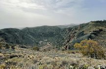 Bandama Volcano guided e-bike tour from Las Palmas