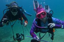 Fujairah two dives for certified divers