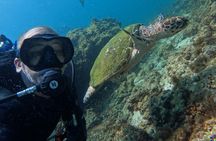 Fujairah two dives for certified divers