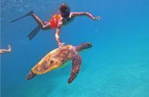 Fujairah snorkelling adventure