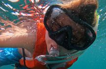 Fujairah snorkelling adventure