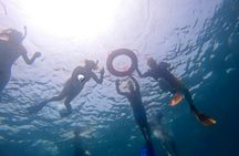 Fujairah snorkelling adventure