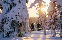 Snowmobiles and huskies in Lapland