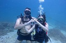 Fujairah scuba diving and snorkelling experience