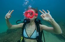Fujairah scuba diving and snorkelling experience