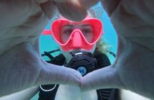 Fujairah scuba diving and snorkelling experience