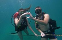 Scuba diving experience in Fujairah