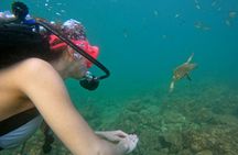 Scuba diving experience in Fujairah