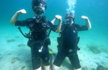 Scuba diving experience in Fujairah