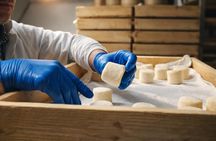 Cheese factory tour and gourmet tasting on Lake Como Mountains