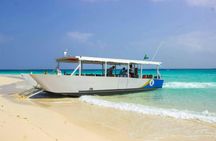 Zanzibar snorkeling tour to Nyange Sandbank with BBQ lunch