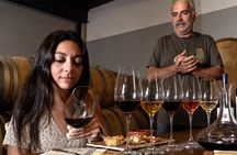 Half-day winery tour with wine tasting and tapas