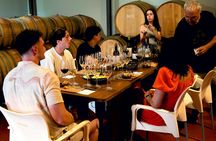 Half-day winery tour with wine tasting and tapas