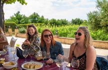 Organic vineyard wine tasting tour in Mijas, Costa del Sol