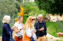 Organic vineyard wine tasting tour in Mijas, Costa del Sol