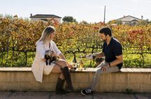 Half-day winery tour with wine tasting and tapas