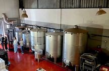 Half-day winery tour with wine tasting and tapas
